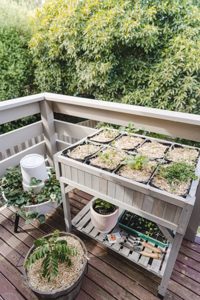 Como montar uma horta em casa.2webp