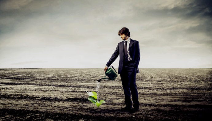 Plantas murchando o que fazer2 1